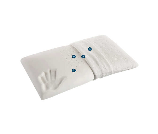Remove-bg.ai_1691514162320.png