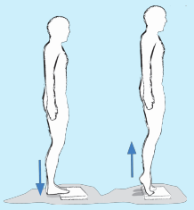gimnastika10.png gimnastika10.png